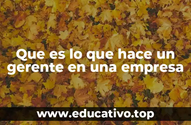 Que es lo que hace un gerente en una empresa