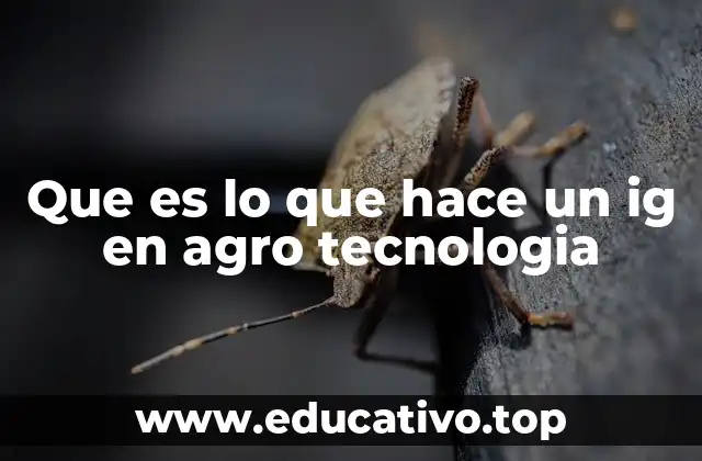 Que es lo que hace un ig en agro tecnologia