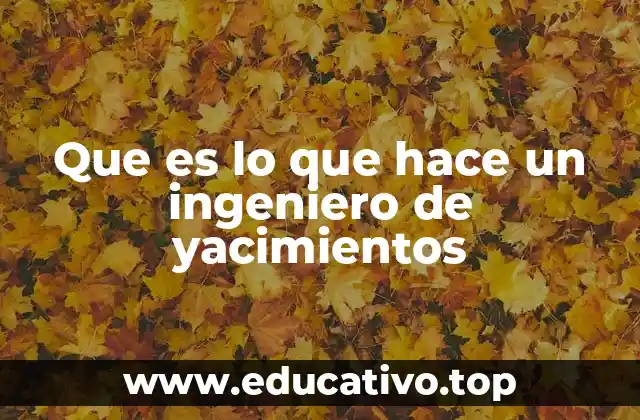 Que es lo que hace un ingeniero de yacimientos