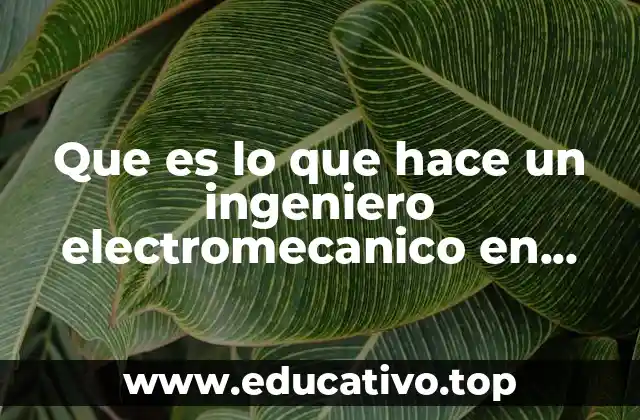 Que es lo que hace un ingeniero electromecanico en mittal