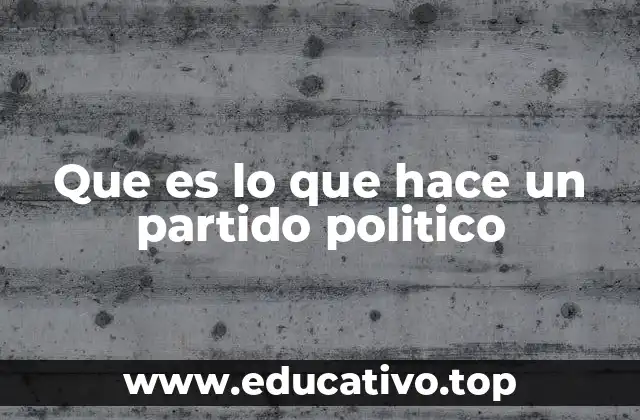 Que es lo que hace un partido politico