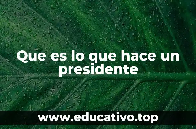 El rol del mandatario en la toma de decisiones