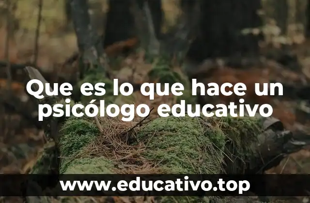 Que es lo que hace un psicólogo educativo