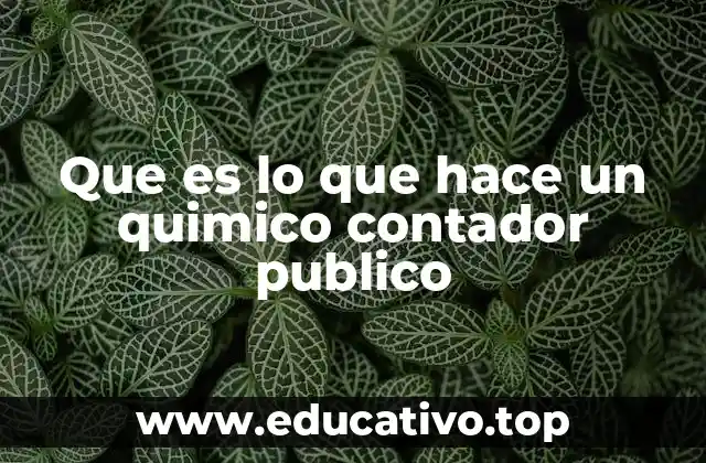 Que es lo que hace un quimico contador publico