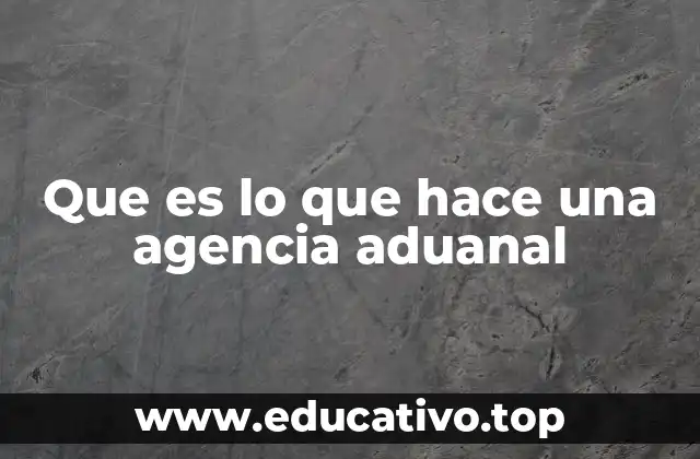 Que es lo que hace una agencia aduanal