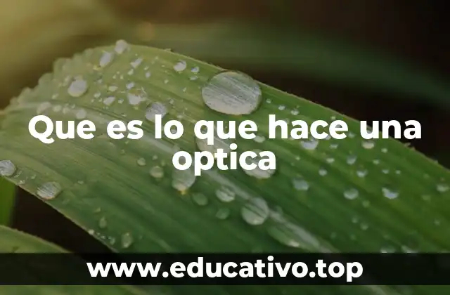 Que es lo que hace una optica