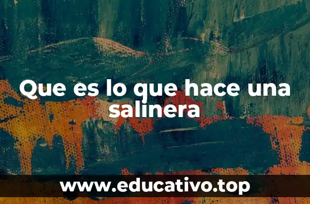 Que es lo que hace una salinera