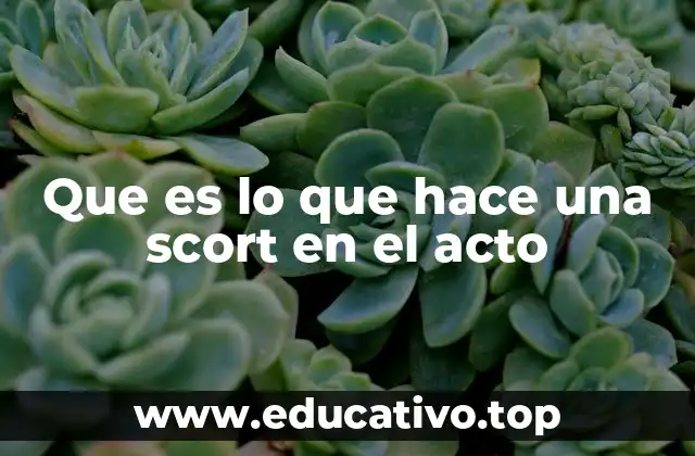 Que es lo que hace una scort en el acto