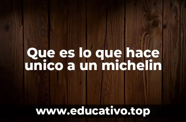 Que es lo que hace unico a un michelin