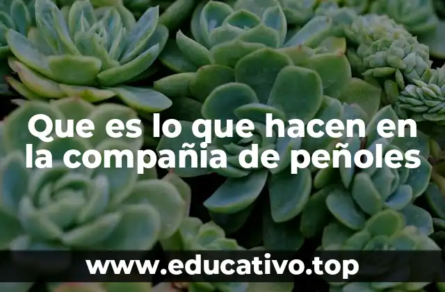 Que es lo que hacen en la compañia de peñoles