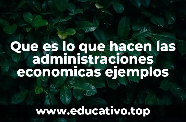 Que es lo que hacen las administraciones economicas ejemplos