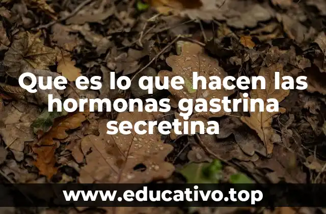 Que es lo que hacen las hormonas gastrina secretina