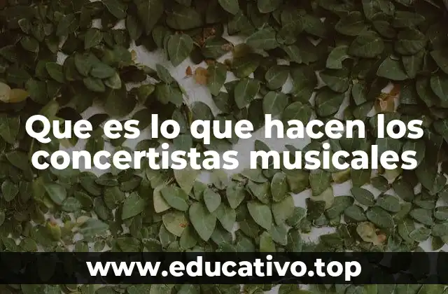 Que es lo que hacen los concertistas musicales