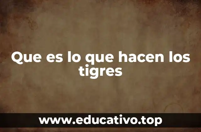 Que es lo que hacen los tigres