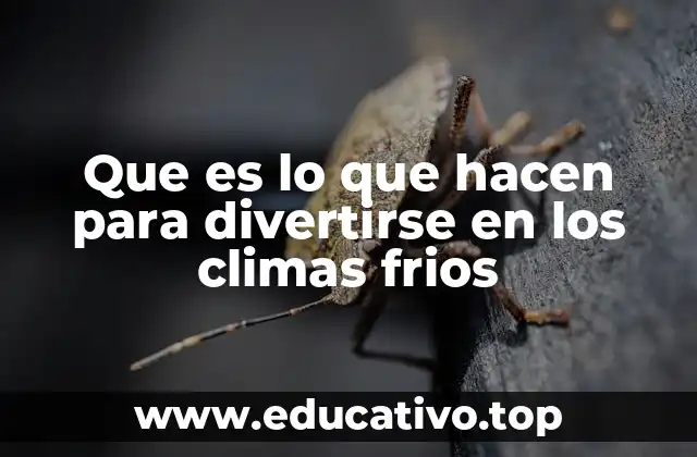 Que es lo que hacen para divertirse en los climas frios
