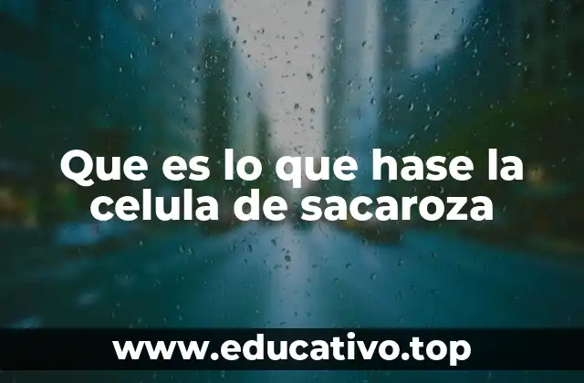 El papel de la célula en el metabolismo vegetal