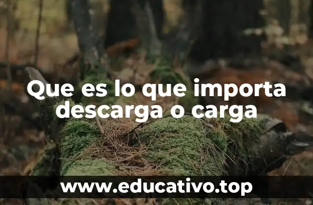 Que es lo que importa descarga o carga