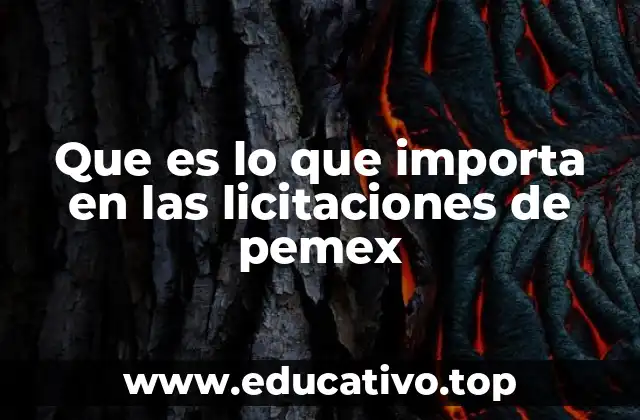 Que es lo que importa en las licitaciones de pemex