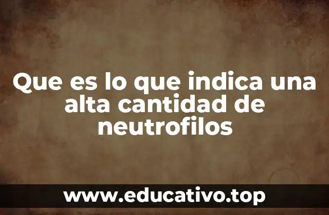 Que es lo que indica una alta cantidad de neutrofilos