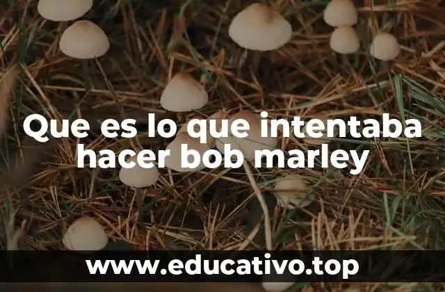 Que es lo que intentaba hacer bob marley