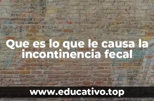 Que es lo que le causa la incontinencia fecal