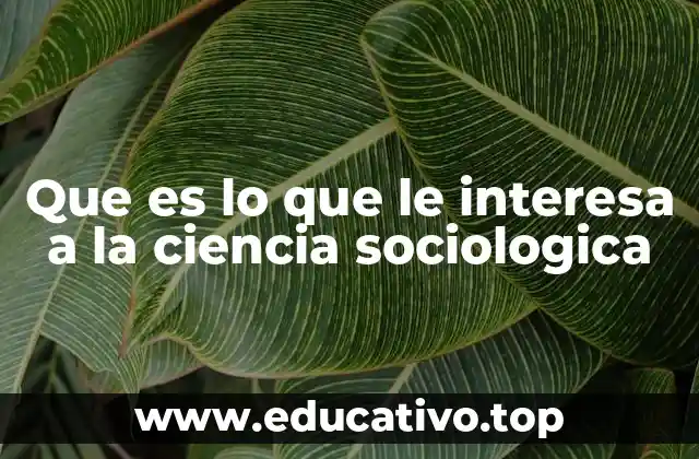Que es lo que le interesa a la ciencia sociologica