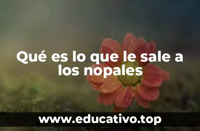 El proceso de defensa vegetal y la respuesta de los nopales