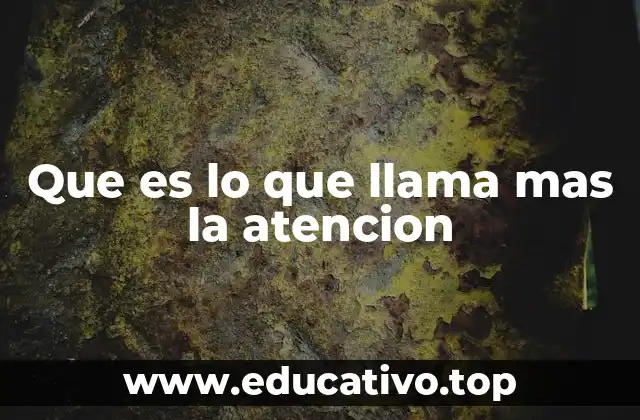 Que es lo que llama mas la atencion