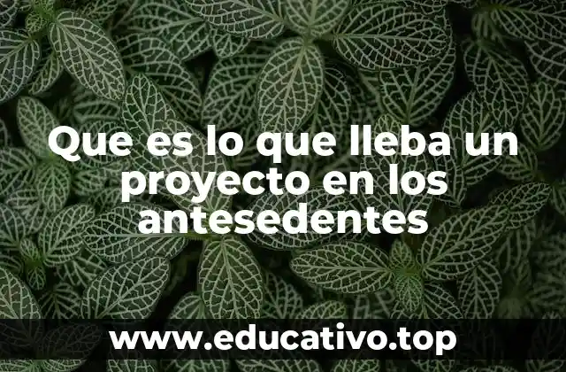 Que es lo que lleba un proyecto en los antesedentes