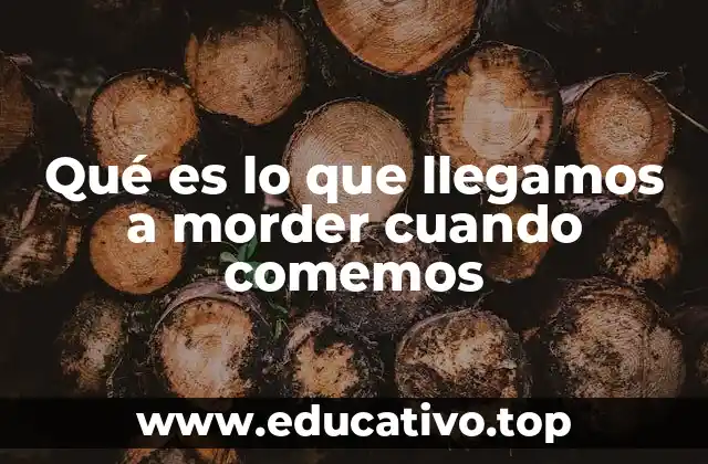 Qué es lo que llegamos a morder cuando comemos