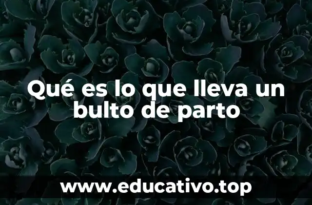 Qué es lo que lleva un bulto de parto