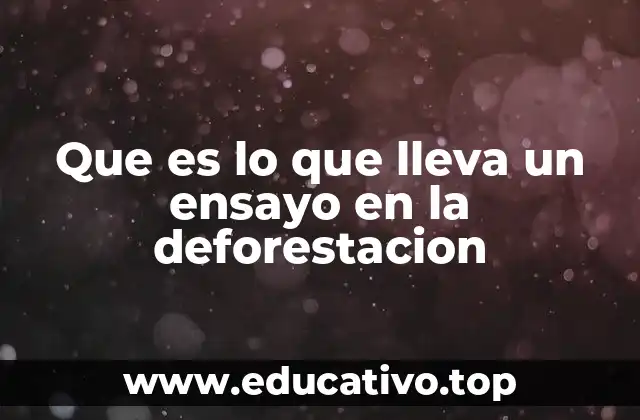 Que es lo que lleva un ensayo en la deforestacion