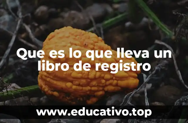 Que es lo que lleva un libro de registro