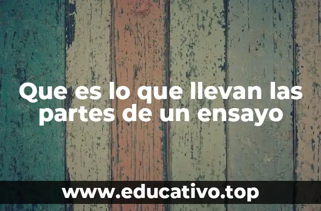 Que es lo que llevan las partes de un ensayo