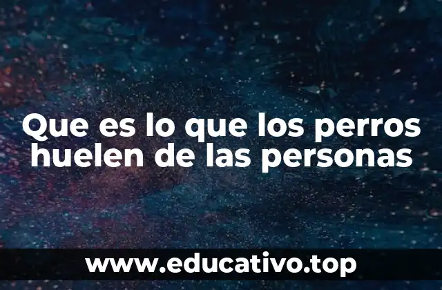 Que es lo que los perros huelen de las personas