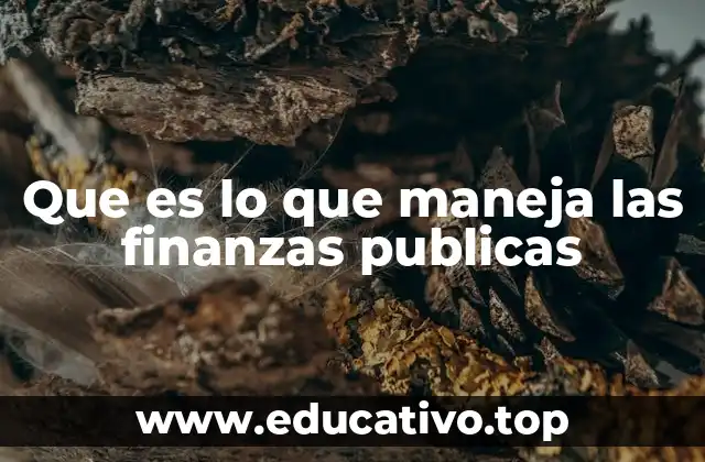 Que es lo que maneja las finanzas publicas