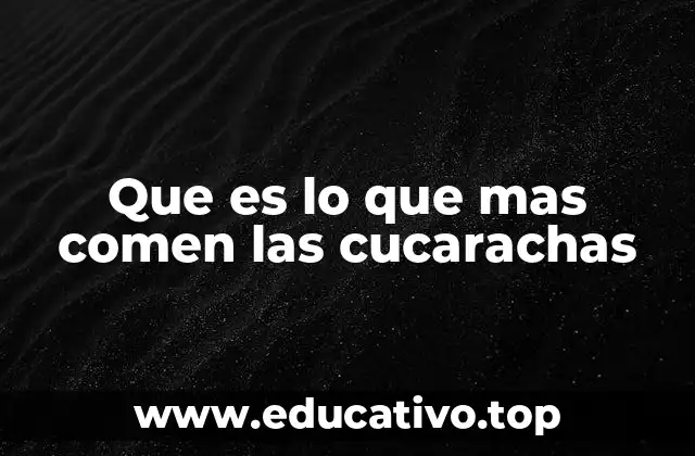 Que es lo que mas comen las cucarachas