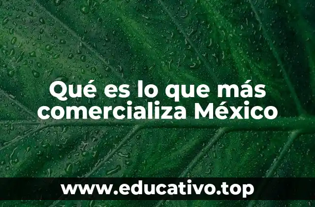 Qué es lo que más comercializa México