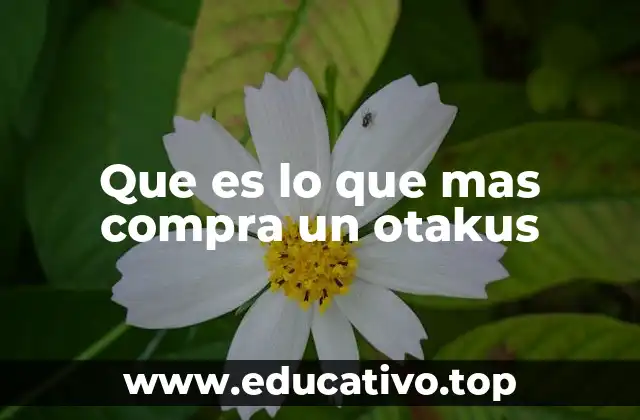 Que es lo que mas compra un otakus