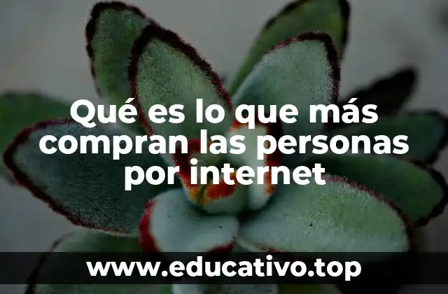 Qué es lo que más compran las personas por internet