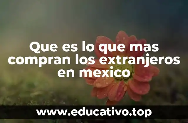 Que es lo que mas compran los extranjeros en mexico