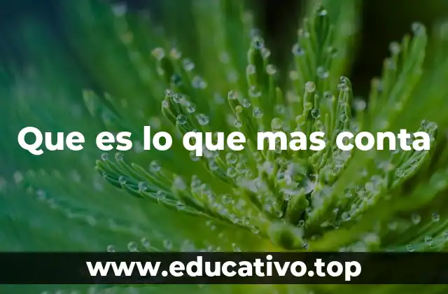 Que es lo que mas conta