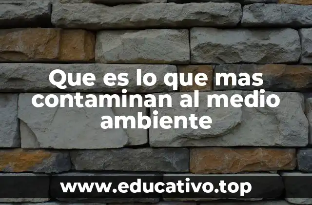 Que es lo que mas contaminan al medio ambiente