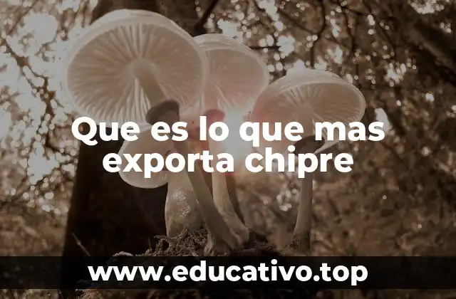 Que es lo que mas exporta chipre