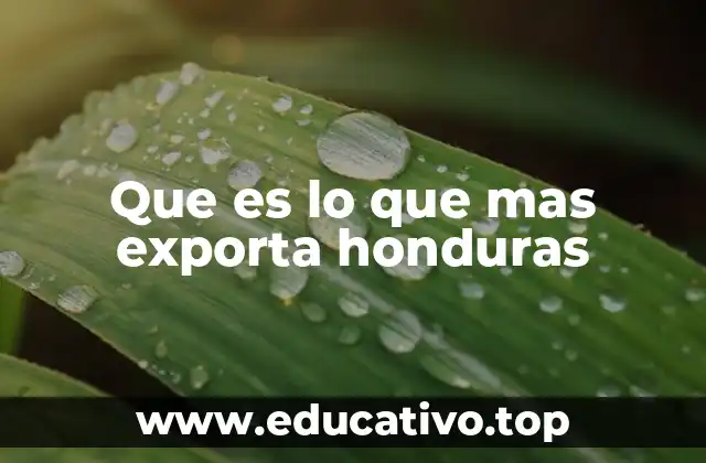 Que es lo que mas exporta honduras