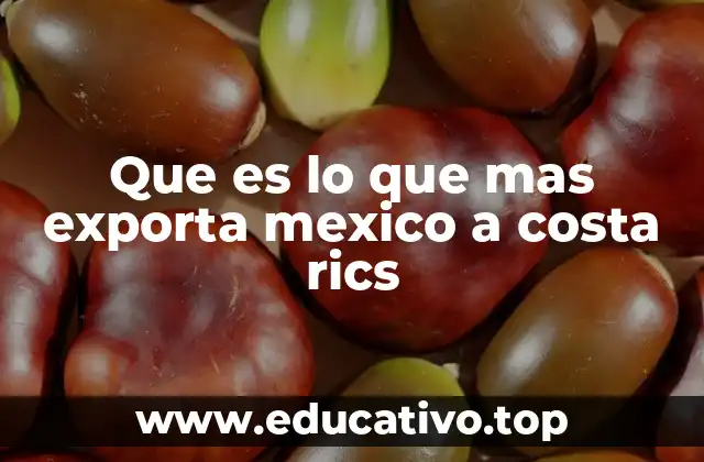 Que es lo que mas exporta mexico a costa rics