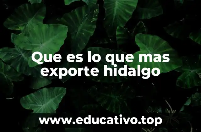 Que es lo que mas exporte hidalgo