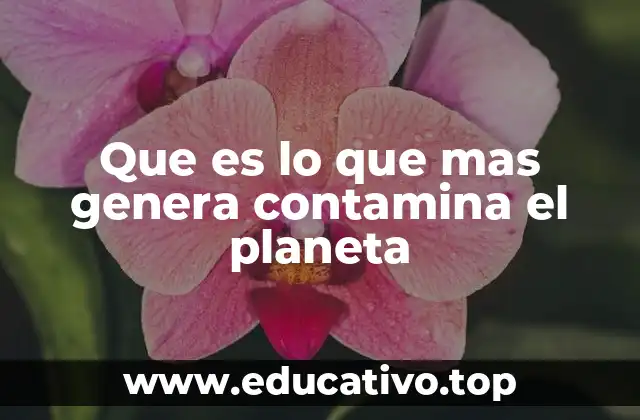 Que es lo que mas genera contamina el planeta