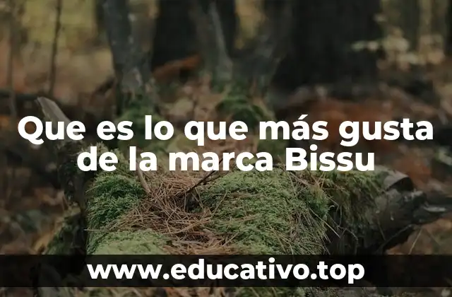 Que es lo que más gusta de la marca Bissu