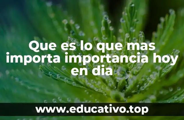 Que es lo que mas importa importancia hoy en dia